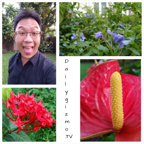 PhotoGrid_1427096123578