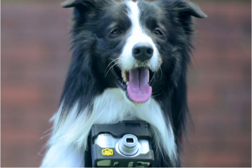 Screen Shot 2015-05-20 at 10.33.40 AM