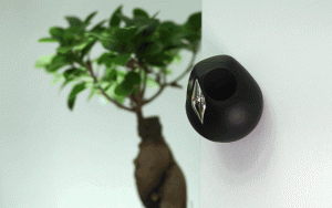 a431ca38793d6ab3fa985bd6ead08e17_original