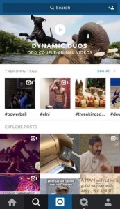 instagram-spotlight