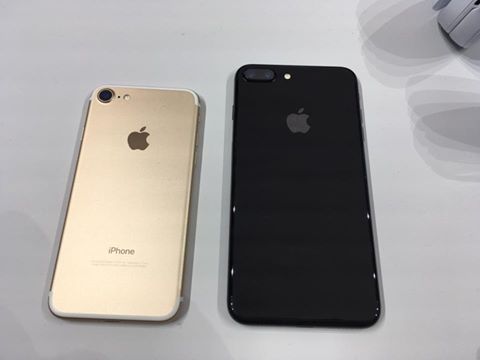 14233142_1189364981104892_8180370183406314244_n