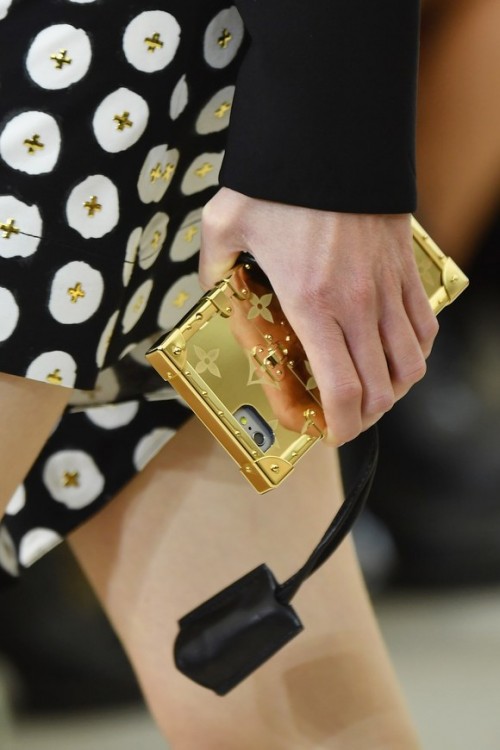 louis-vuitton-case-2