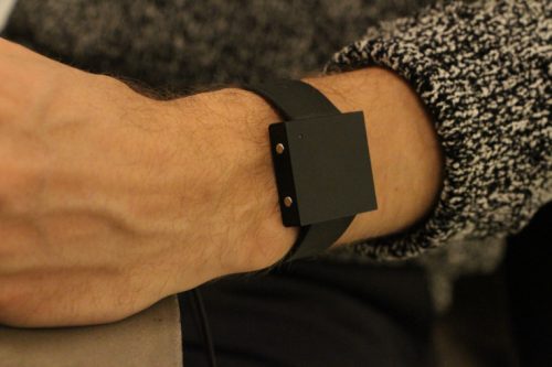 Basslet
