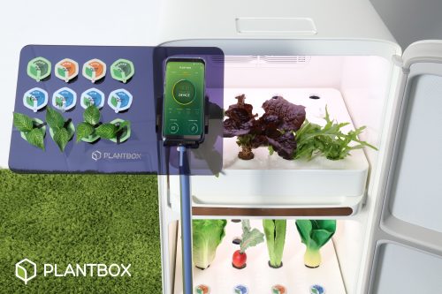 Plantbox