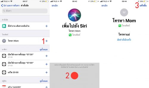 Siri Shortcuts