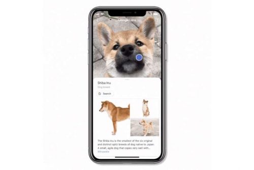 Google Lens