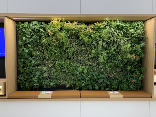 Apple Store Jewel Changi Airport